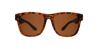 Hellhound Hallucinations