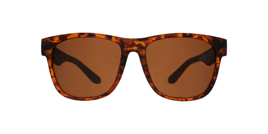 Hellhound Hallucinations